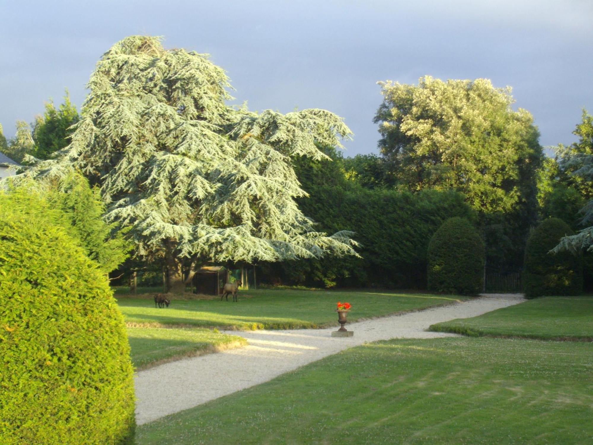 Manoir De La Baronnie Bed & Breakfast Saint-Malo Exterior photo